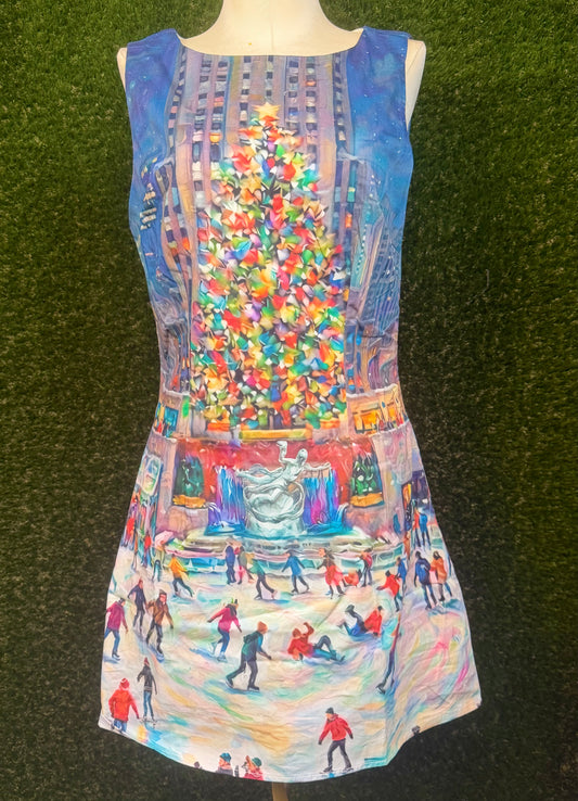 Skating Under The Stars Mini Dress