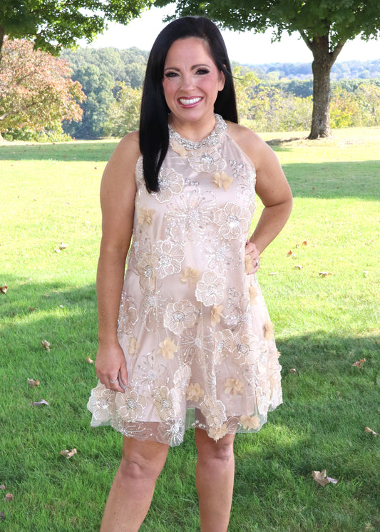 Feeling Fancy Dress - Beige