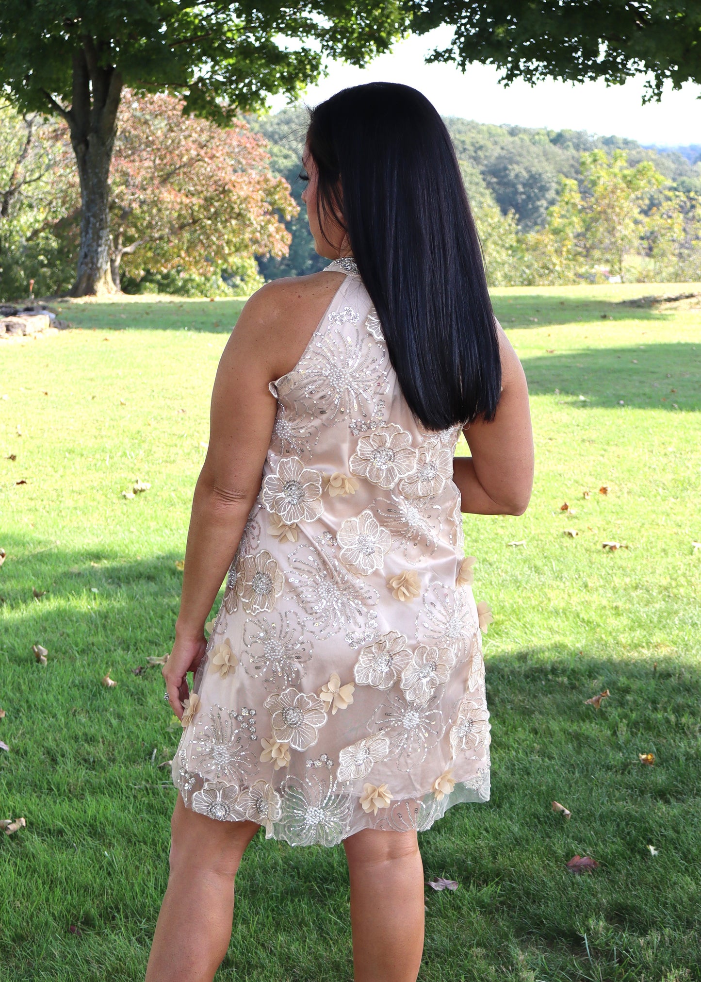 Feeling Fancy Dress - Beige