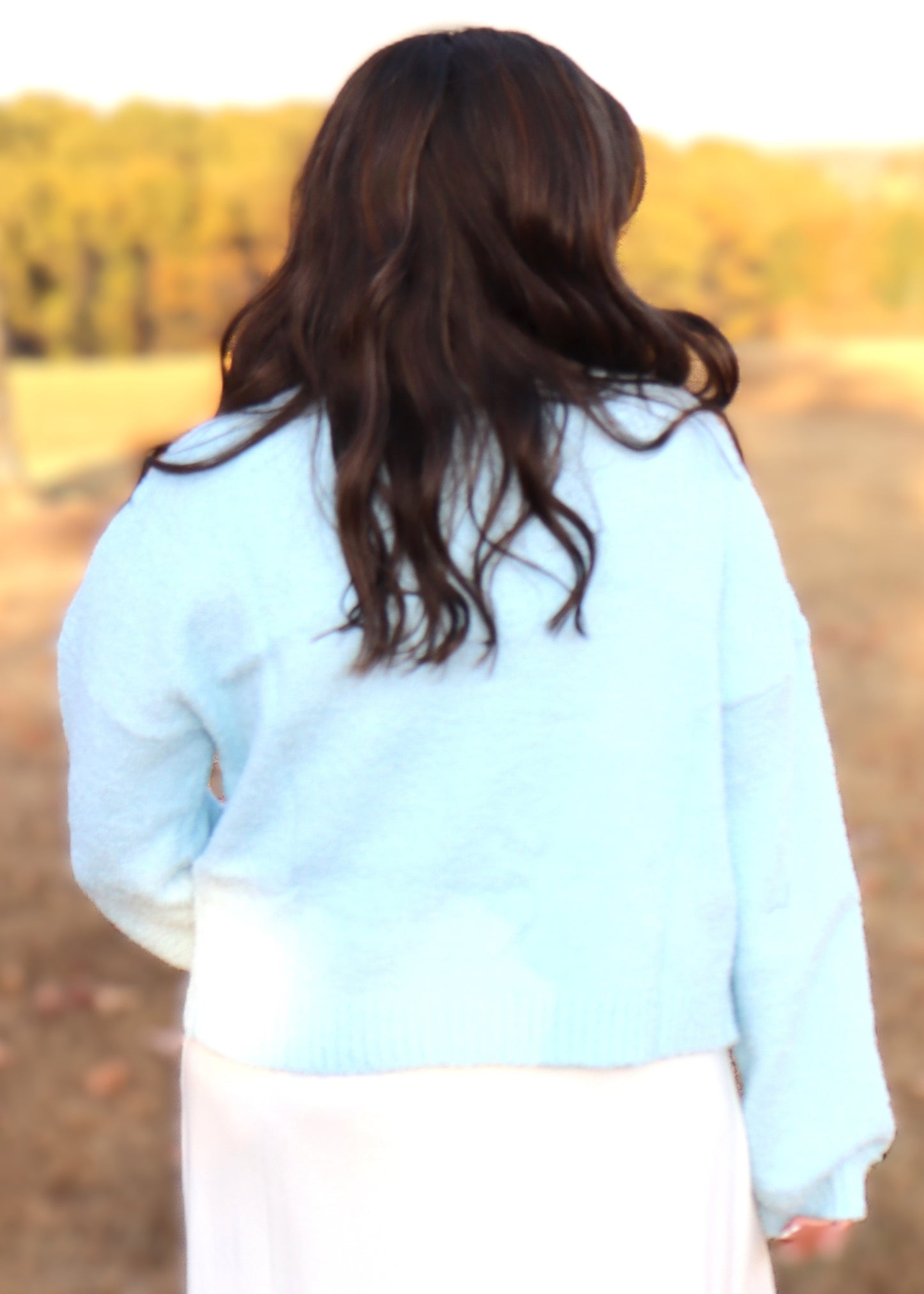 Fuzzy Cropped Sweater - Sky Blue