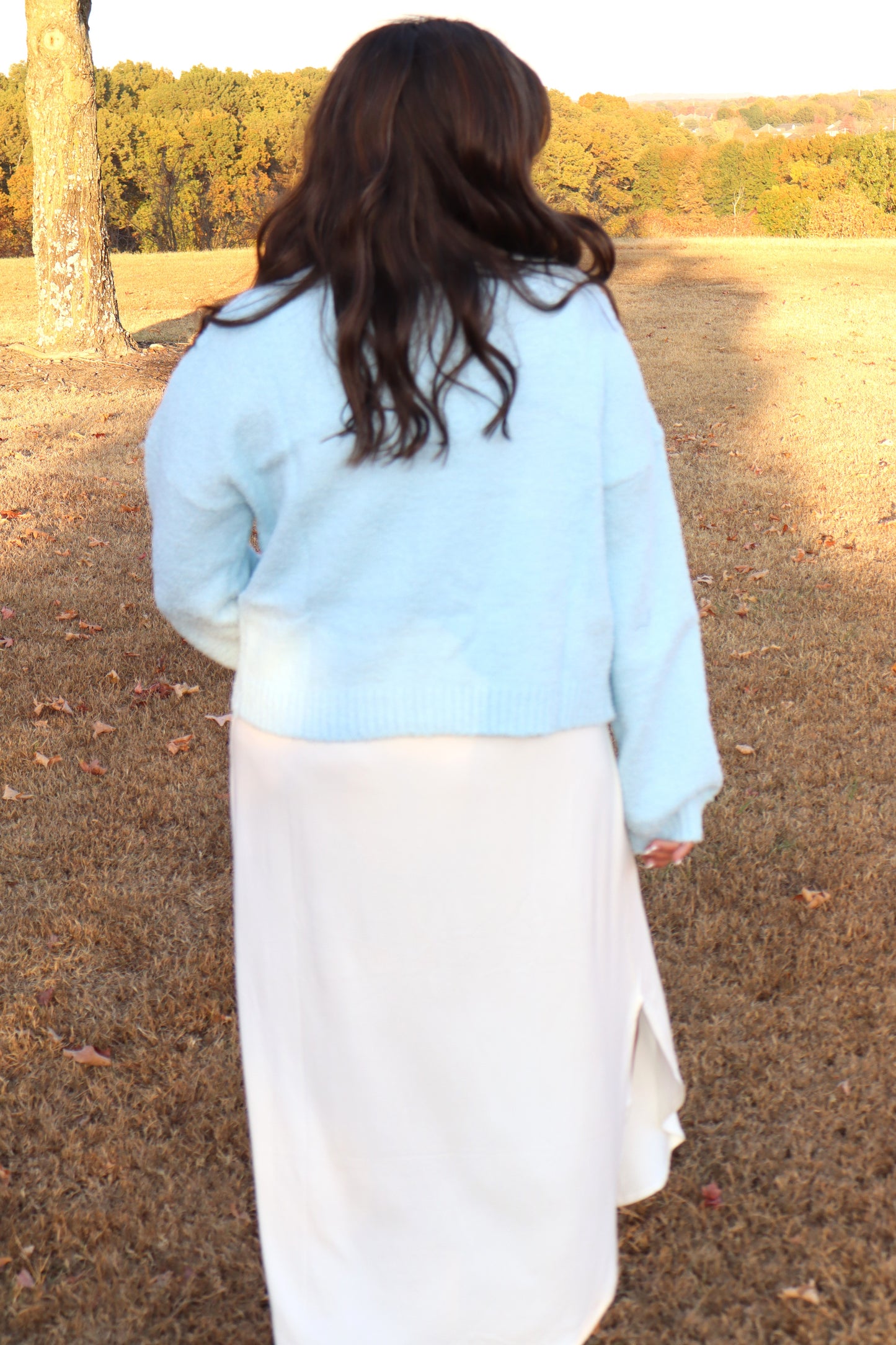 Fuzzy Cropped Sweater - Sky Blue