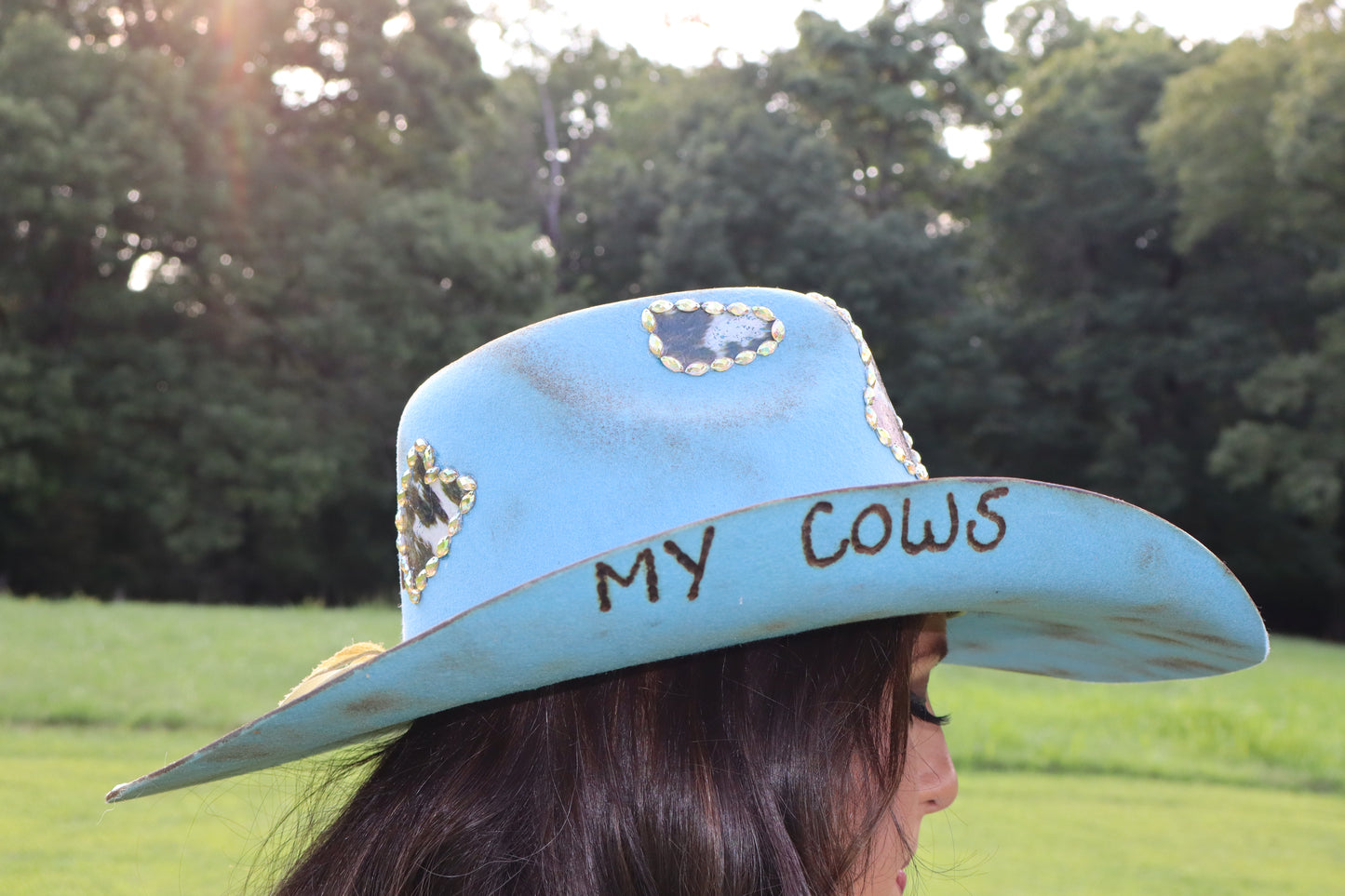 My Cows, My Pasture - Sky Blue Cowboy Hat - Size Large